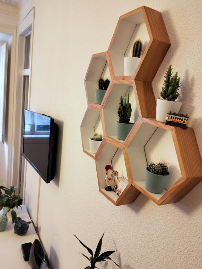 Apartment Bird's Nest